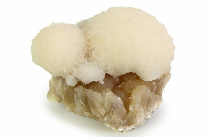Scolecite Crystals on Honey-Colored Stilbite - India #343039
